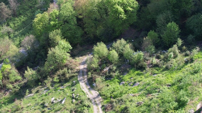 BAHARIN RENK CÜMBÜŞÜ - 2