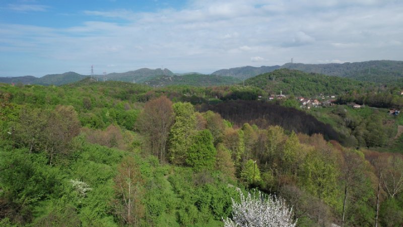 BAHARIN RENK CÜMBÜŞÜ - 3