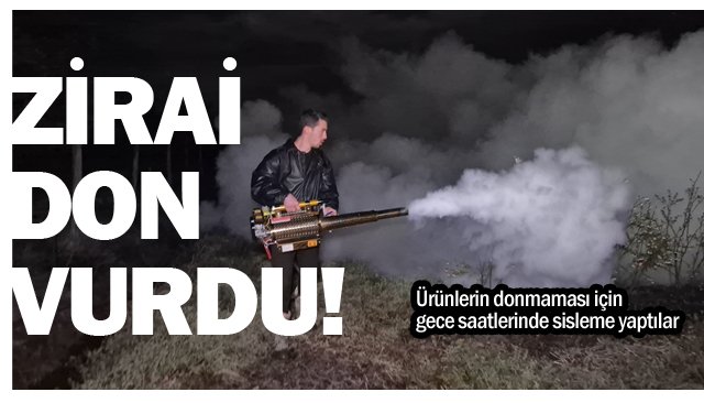 ZİRAİ DON  VURDU!