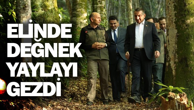 DÜNYA MİRASI AĞACI  GÖRMEYE GİTTİ