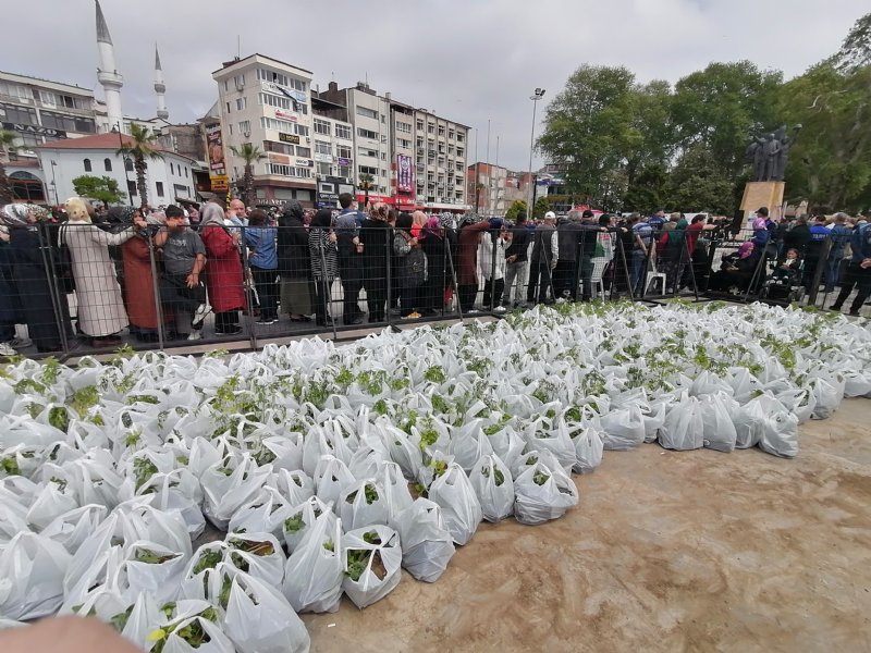 ÜCRETSİZ FİDEYE ÇOK BÜYÜK İLGİ - 3