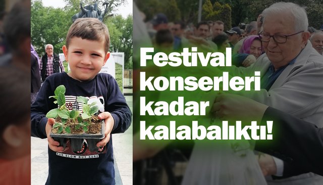 ÜCRETSİZ FİDEYE  ÇOK BÜYÜK İLGİ