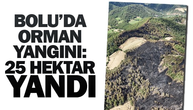 BOLU’DA ORMAN YANGINI:  25 HEKTAR YANDI