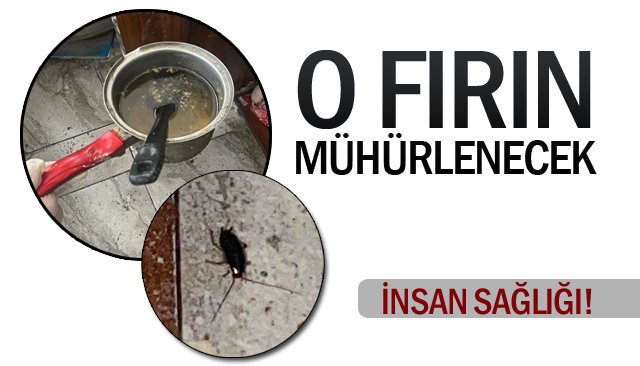 İNSAN SAĞLIĞI!