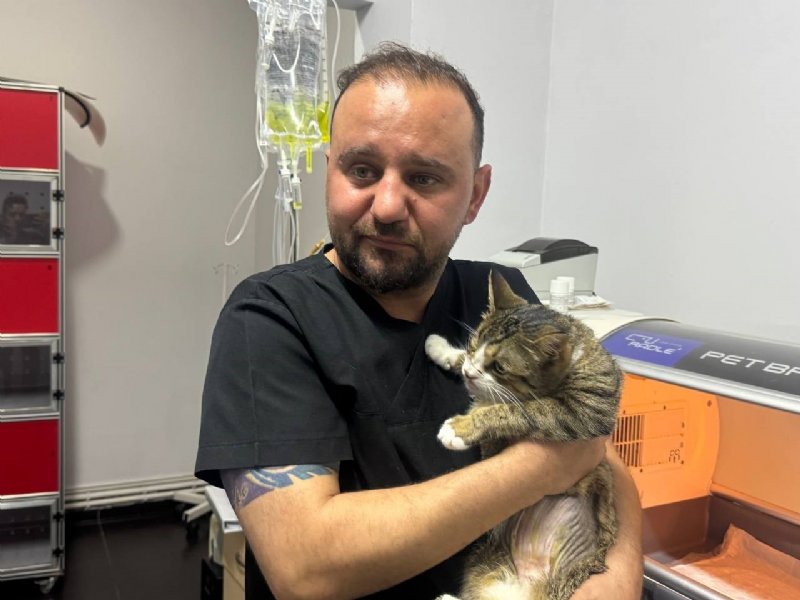 MESANESİNDEN 2 SANTİMLİK TAŞ ÇIKTI - 1