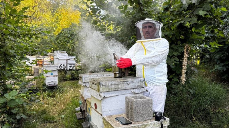 Miras kalan mesleğini tutkuyla sürdüren girişimci 100 kovana ulaştı - 1