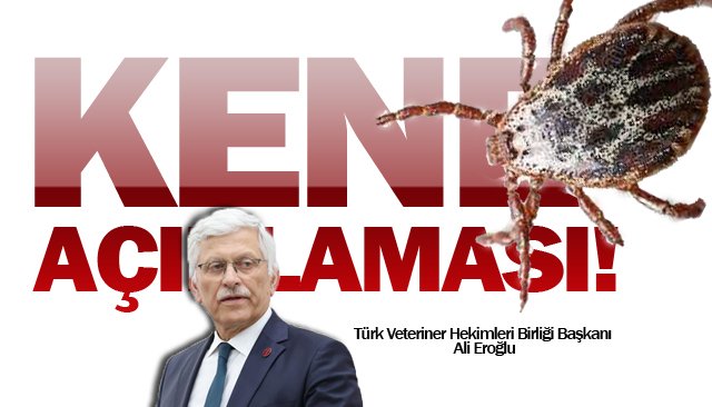 “TEŞVİKLER GELİŞTİRİLMELİ´´