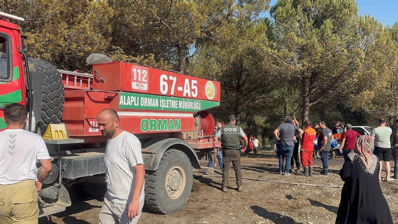 Alaplı´da ormanlık alanda yangın - 1