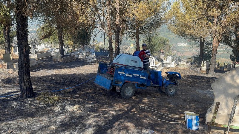 Alaplı´da ormanlık alanda yangın - 2