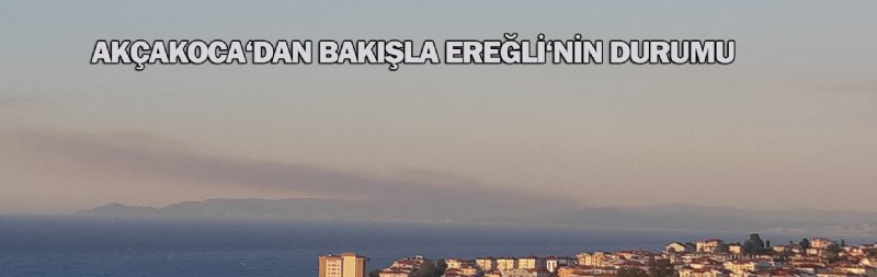 EREĞLİ’DE BÜYÜK ORMAN YANGINI! ŞEHRİN HER NOKTASINDAN GÖRÜLÜYOR… - 3