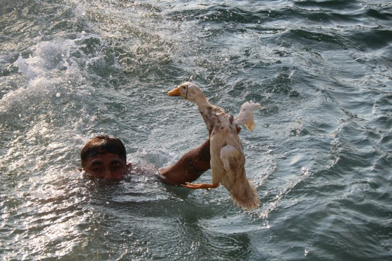 HALAT ÇEKENLERİ SİLİP-SÜPÜRDÜLER - 1