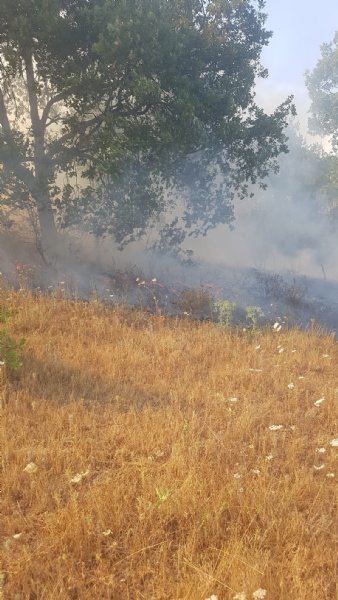ORMANLIK ALANDA ÇIKAN YANGINA EKİPLER MÜDAHALE ETTİ - 2