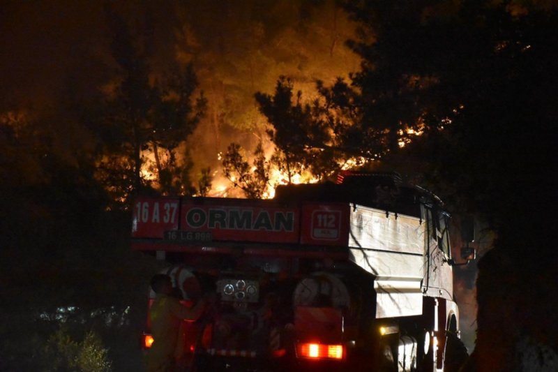 Sakarya Valiliği: ´´Yangın kısmen kontrol altına alındı´´ - 1