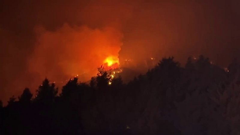 Sakarya Valiliği: ´´Yangın kısmen kontrol altına alındı´´ - 4