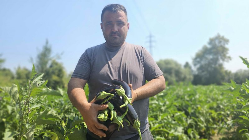BABA MESLEĞİNİ BIRAKTI, 20 DÖNÜMDE ÜRETİM YAPIYOR - 2