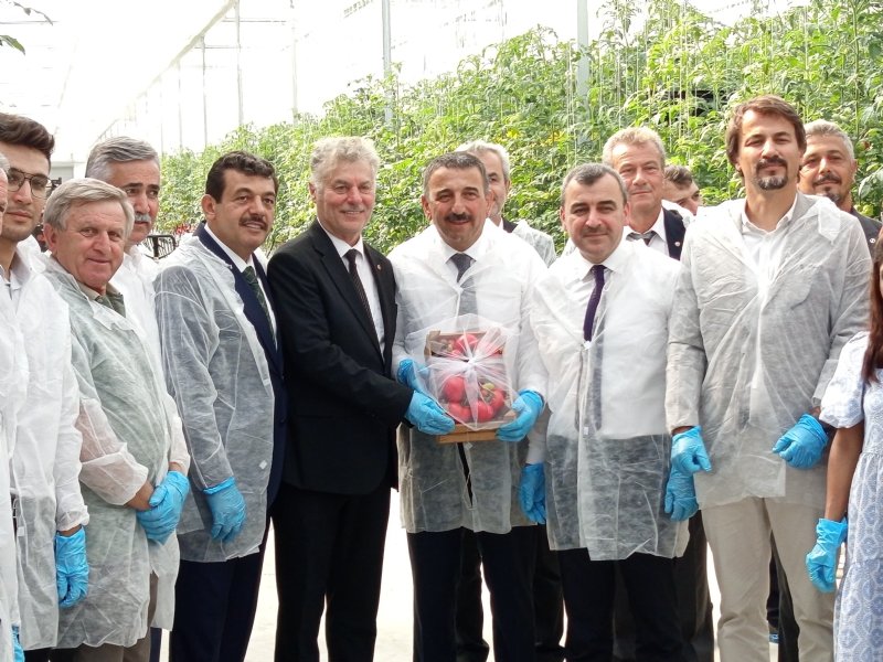 SERA OSB´DE İLK HASAT - 2