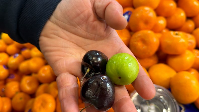 BİR TANE ERİK KAÇ LİRA OLABİLİR?  - 2