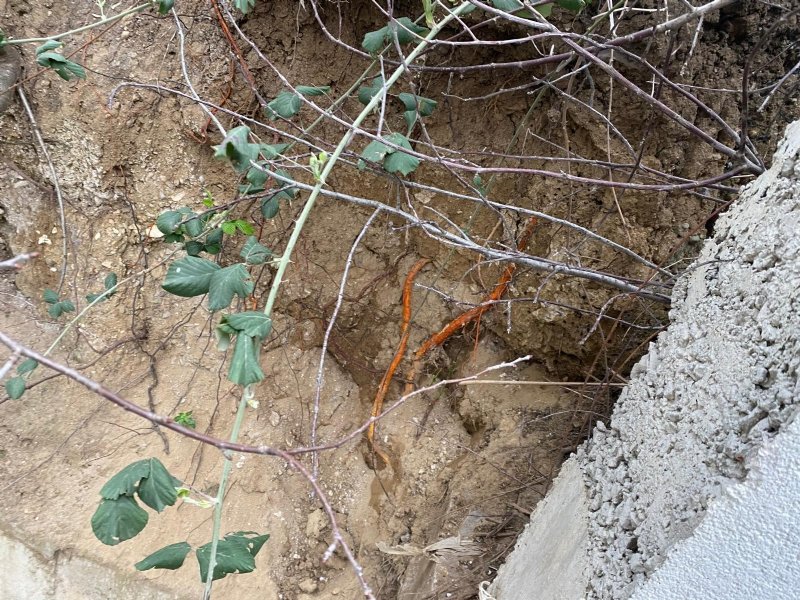 KOCAELİ’DE  KORKUNÇ OLAY! - 2