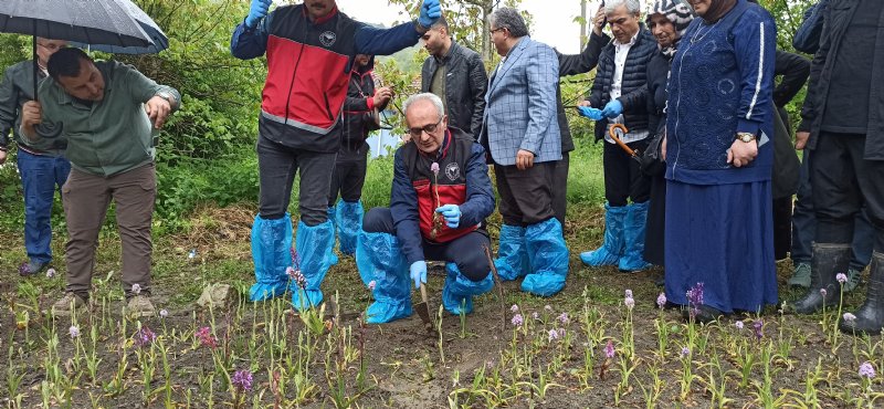 Bulduğu salep orkidesi hayatını değiştirdi - 2