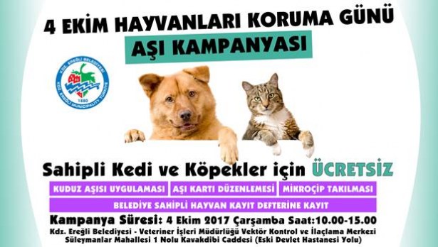 Hayvanları Koruma Günü´nde, belediyeden ücretsiz aşı