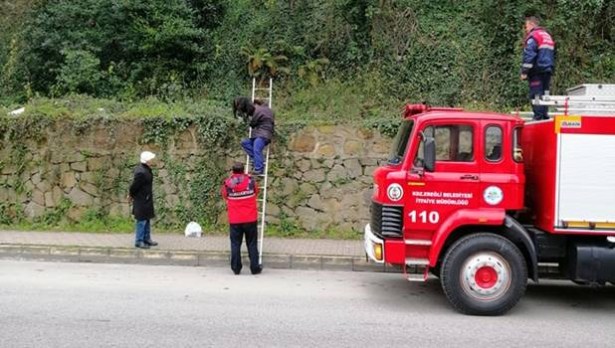 Mahsur kalan köpeğin imdadına itfaiye yetişti