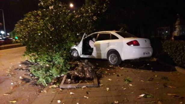 Devrilen ağaç otomobili pert etti