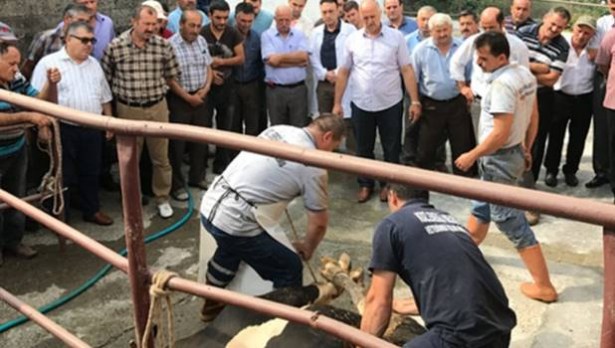 Ereğli´de kurban kesim yerleri ve esasları belirlendi