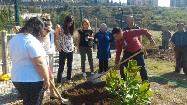 Ruh sağlığı haftasında fidan dikildi