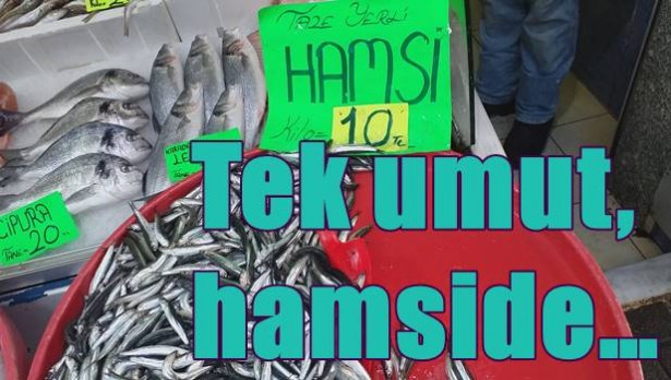 Tek umut, hamside…